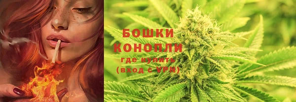 гидра Баксан
