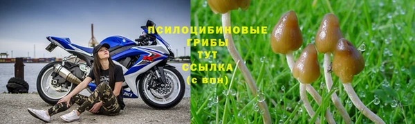 соль курить ск Арсеньев
